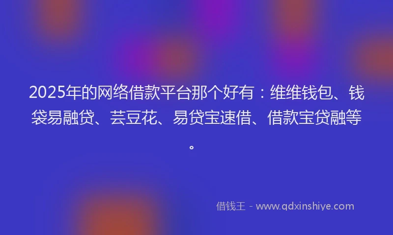 2025年的网络借款平台那个好有：维维钱包、钱袋易融贷、芸豆花、易贷宝速借、借款宝贷融等。