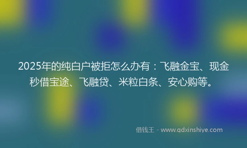 2025年的纯白户被拒怎么办有：飞融金宝、现金秒借宝途、飞融贷、米粒白条、安心购等。