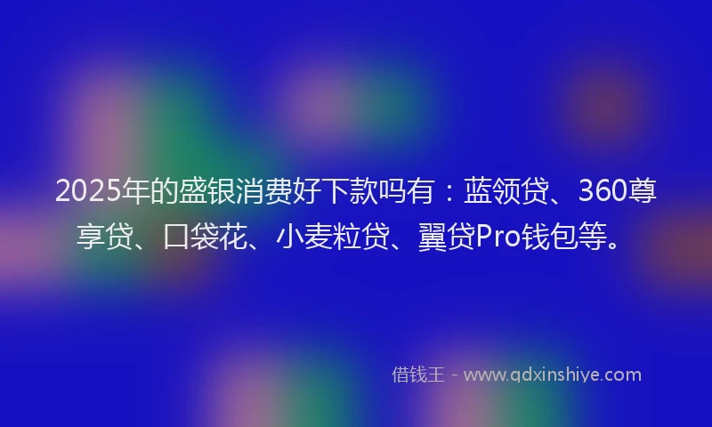 2025年的盛银消费好下款吗有：蓝领贷、360尊享贷、口袋花、小麦粒贷、翼贷Pro钱包等。