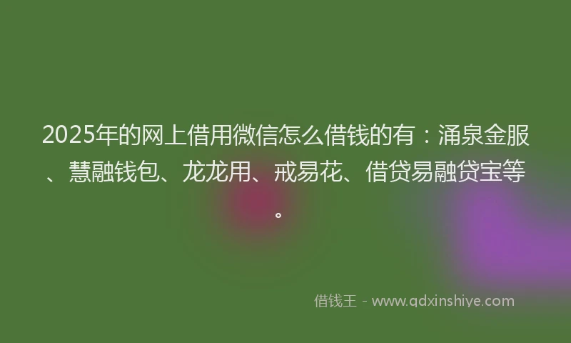 2025年的网上借用微信怎么借钱的有：涌泉金服、慧融钱包、龙龙用、戒易花、借贷易融贷宝等。