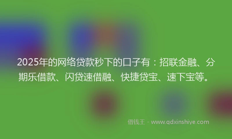 2025年的网络贷款秒下的口子有：招联金融、分期乐借款、闪贷速借融、快捷贷宝、速下宝等。
