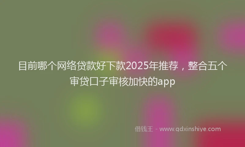 目前哪个网络贷款好下款2025年推荐，整合五个审贷口子审核加快的app