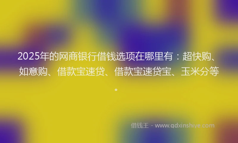 2025年的网商银行借钱选项在哪里有：超快购、如意购、借款宝速贷、借款宝速贷宝、玉米分等。