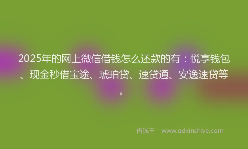 2025年的网上微信借钱怎么还款的有：悦享钱包、现金秒借宝途、琥珀贷、速贷通、安逸速贷等。