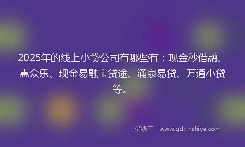2025年的线上小贷公司有哪些有：现金秒借融、惠众乐、现金易融宝贷途、涌泉易贷、万通小贷等。