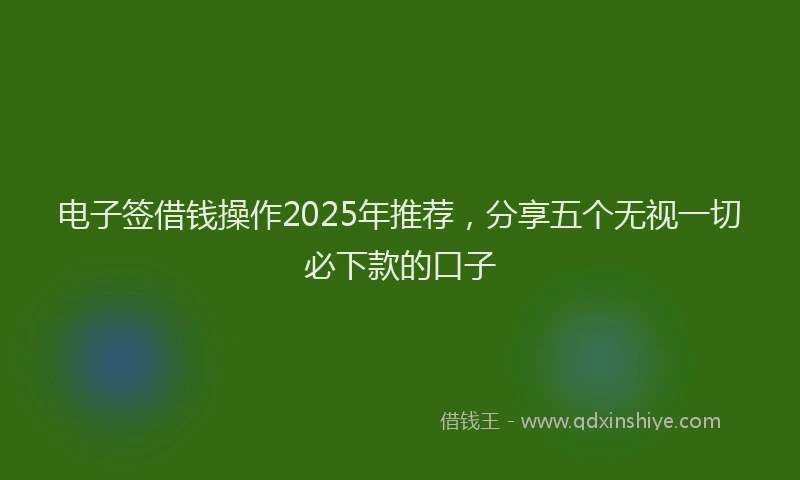 电子签借钱操作2025年推荐，分享五个无视一切必下款的口子