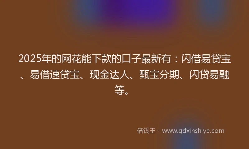 2025年的网花能下款的口子最新有：闪借易贷宝、易借速贷宝、现金达人、甄宝分期、闪贷易融等。