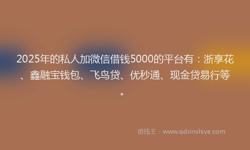 2025年的私人加微信借钱5000的平台有：浙享花、鑫融宝钱包、飞鸟贷、优秒通、现金贷易行等。