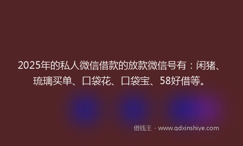 2025年的私人微信借款的放款微信号有：闲猪、琉璃买单、口袋花、口袋宝、58好借等。
