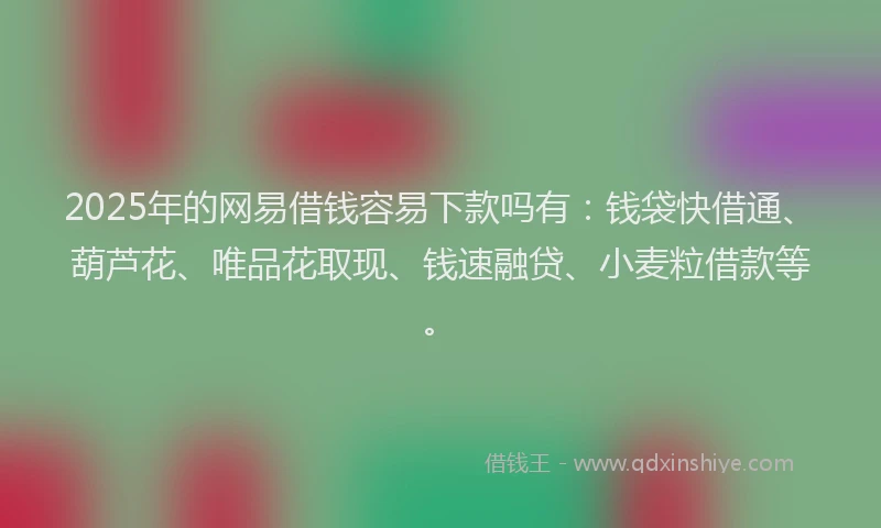 2025年的网易借钱容易下款吗有：钱袋快借通、葫芦花、唯品花取现、钱速融贷、小麦粒借款等。