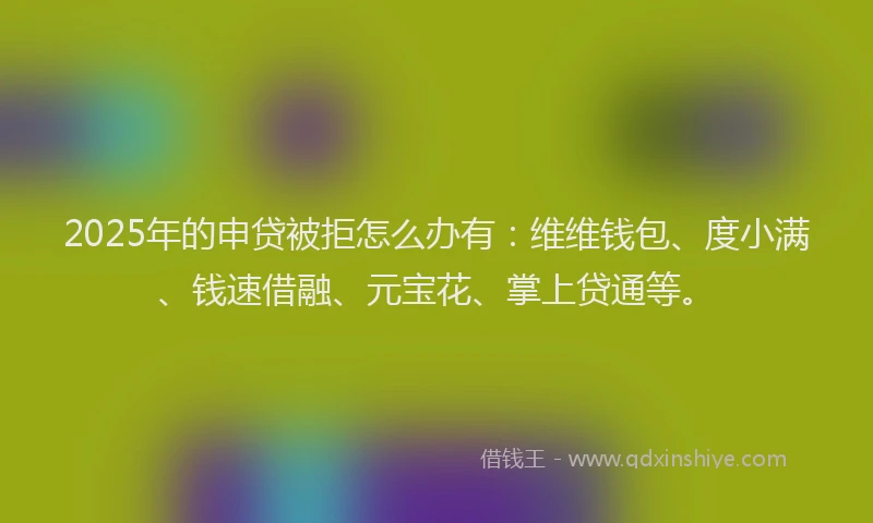2025年的申贷被拒怎么办有：维维钱包、度小满、钱速借融、元宝花、掌上贷通等。