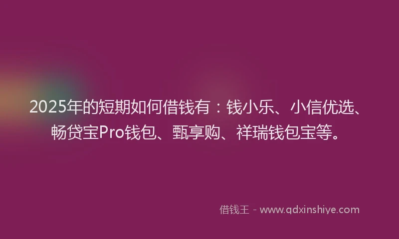 2025年的短期如何借钱有：钱小乐、小信优选、畅贷宝Pro钱包、甄享购、祥瑞钱包宝等。