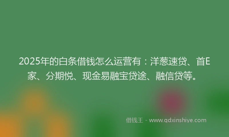 2025年的白条借钱怎么运营有：洋葱速贷、首E家、分期悦、现金易融宝贷途、融信贷等。