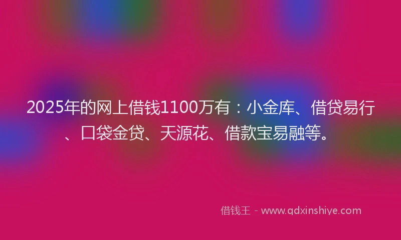 2025年的网上借钱1100万有：小金库、借贷易行、口袋金贷、天源花、借款宝易融等。