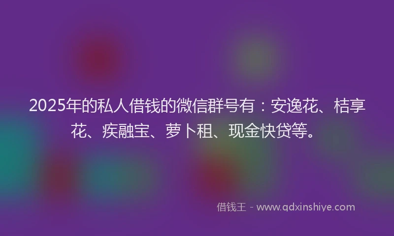 2025年的私人借钱的微信群号有：安逸花、桔享花、疾融宝、萝卜租、现金快贷等。