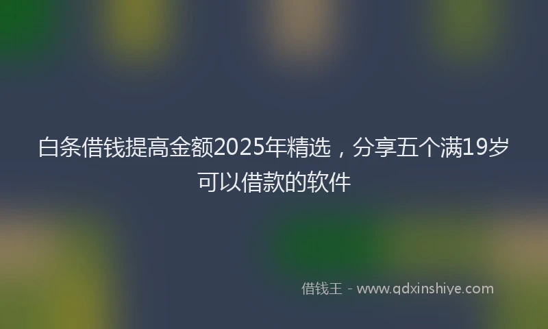 白条借钱提高金额2025年精选，分享五个满19岁可以借款的软件