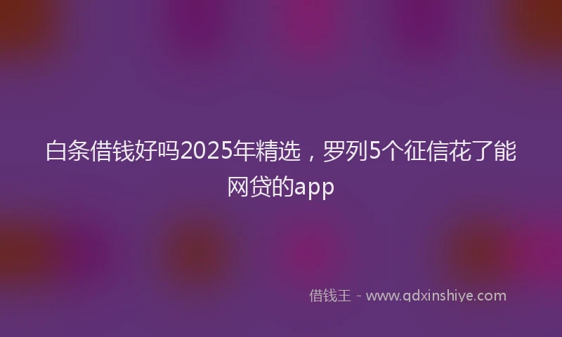 白条借钱好吗2025年精选，罗列5个征信花了能网贷的app