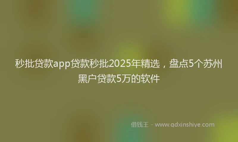 秒批贷款app贷款秒批2025年精选，盘点5个苏州黑户贷款5万的软件