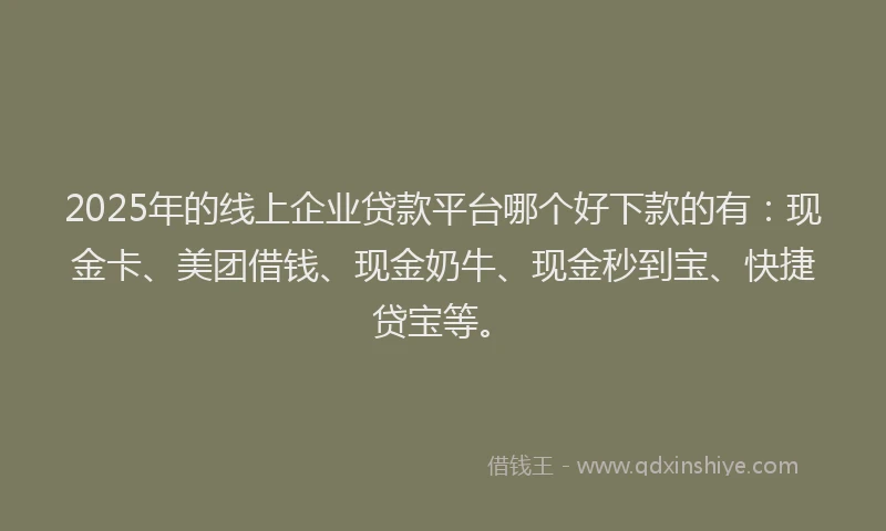 2025年的线上企业贷款平台哪个好下款的有：现金卡、美团借钱、现金奶牛、现金秒到宝、快捷贷宝等。