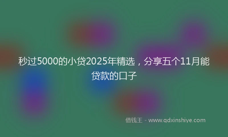 秒过5000的小贷2025年精选，分享五个11月能贷款的口子