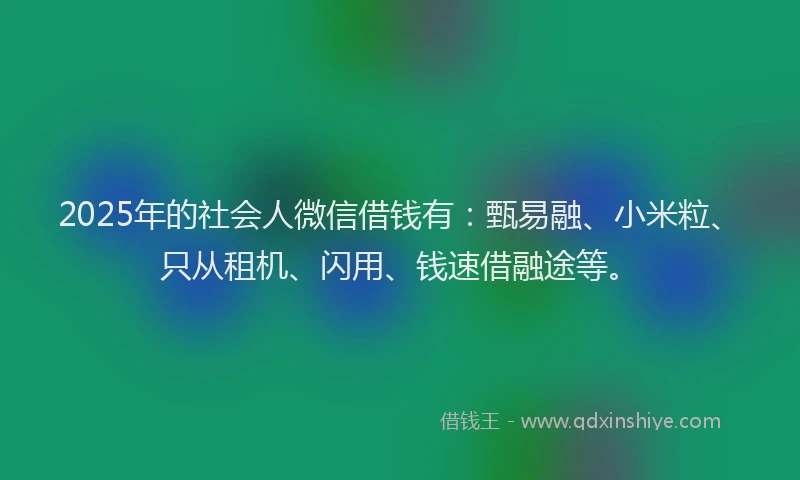 2025年的社会人微信借钱有：甄易融、小米粒、只从租机、闪用、钱速借融途等。