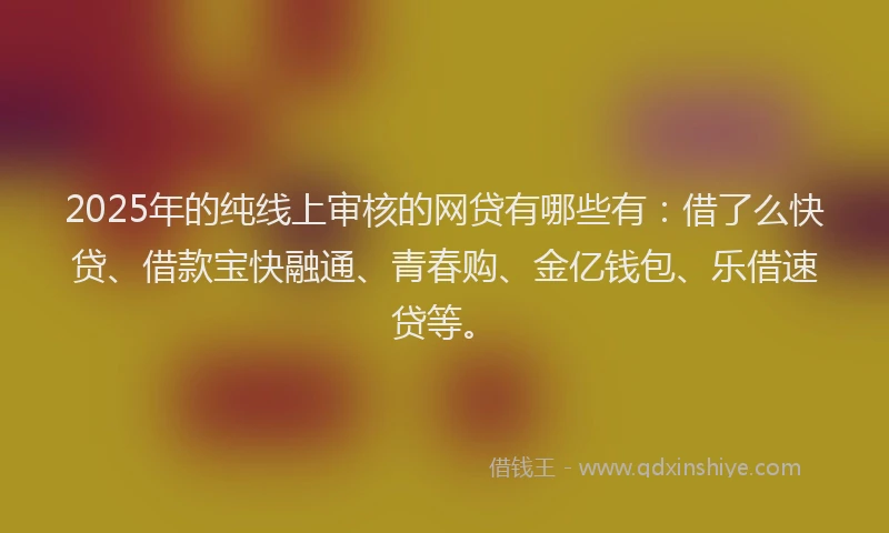 2025年的纯线上审核的网贷有哪些有：借了么快贷、借款宝快融通、青春购、金亿钱包、乐借速贷等。