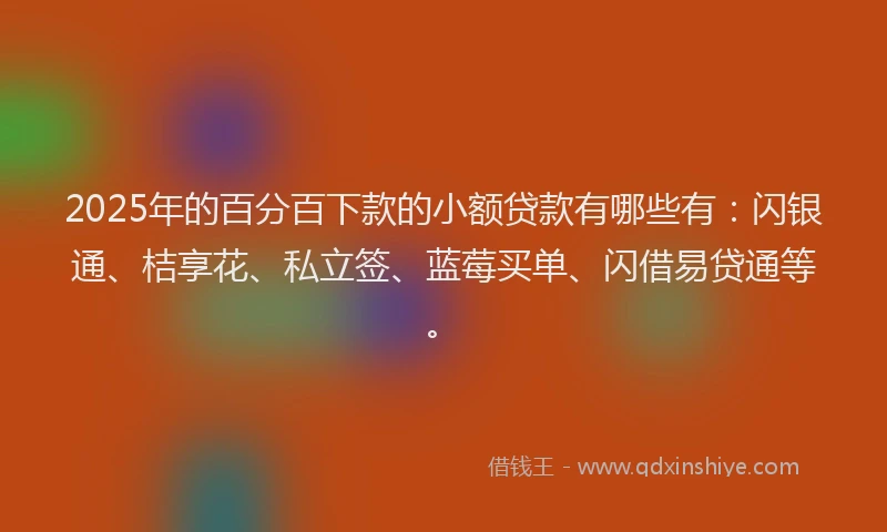 2025年的百分百下款的小额贷款有哪些有：闪银通、桔享花、私立签、蓝莓买单、闪借易贷通等。