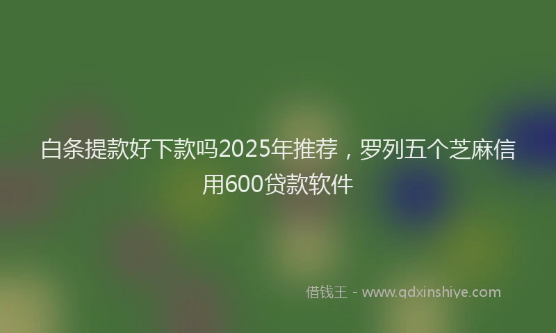 白条提款好下款吗2025年推荐，罗列五个芝麻信用600贷款软件