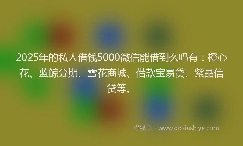 2025年的私人借钱5000微信能借到么吗有：橙心花、蓝鲸分期、雪花商城、借款宝易贷、紫晶信贷等。