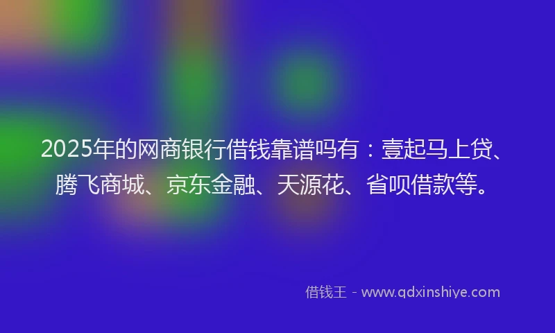 2025年的网商银行借钱靠谱吗有：壹起马上贷、腾飞商城、京东金融、天源花、省呗借款等。