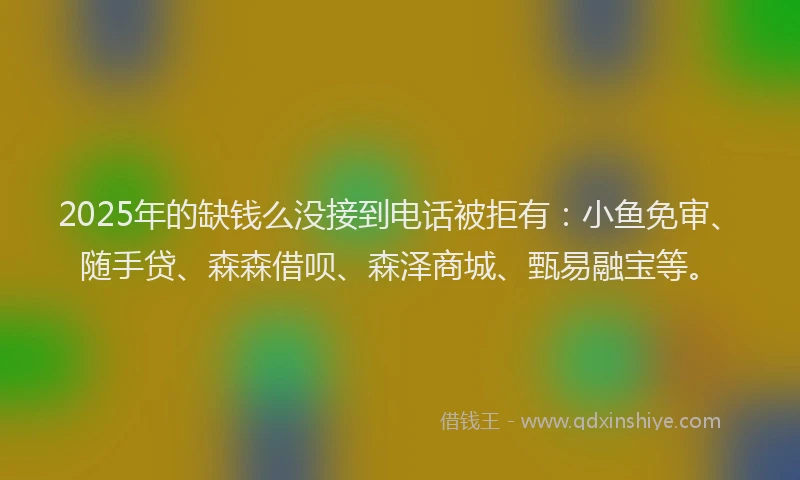 2025年的缺钱么没接到电话被拒有：小鱼免审、随手贷、森森借呗、森泽商城、甄易融宝等。