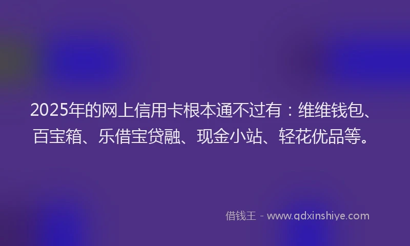2025年的网上信用卡根本通不过有：维维钱包、百宝箱、乐借宝贷融、现金小站、轻花优品等。