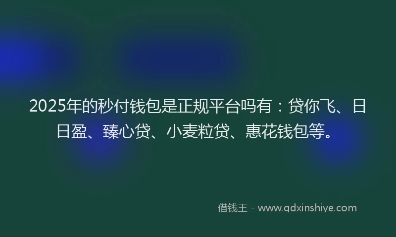 2025年的秒付钱包是正规平台吗有：贷你飞、日日盈、臻心贷、小麦粒贷、惠花钱包等。