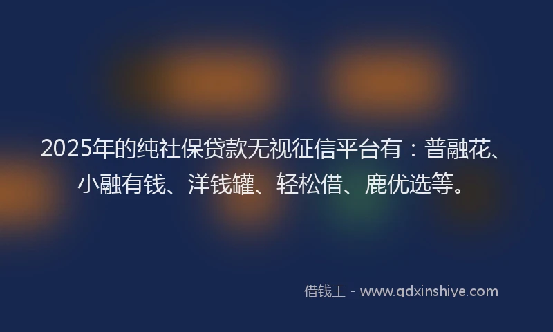2025年的纯社保贷款无视征信平台有：普融花、小融有钱、洋钱罐、轻松借、鹿优选等。