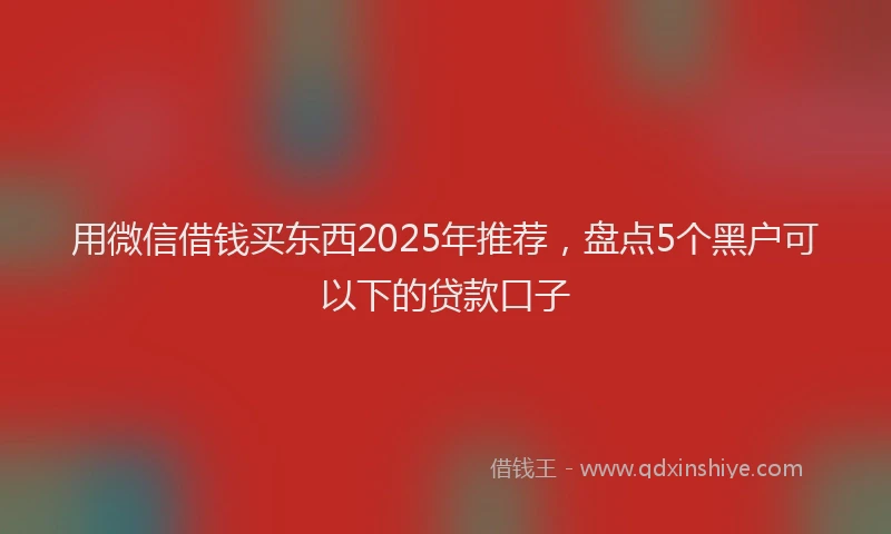 用微信借钱买东西2025年推荐，盘点5个黑户可以下的贷款口子