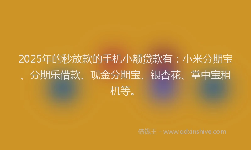 2025年的秒放款的手机小额贷款有：小米分期宝、分期乐借款、现金分期宝、银杏花、掌中宝租机等。