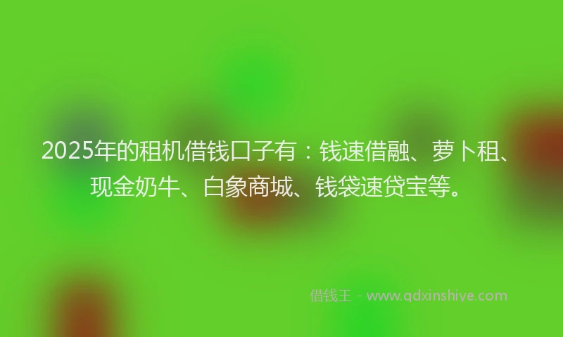2025年的租机借钱口子有：钱速借融、萝卜租、现金奶牛、白象商城、钱袋速贷宝等。