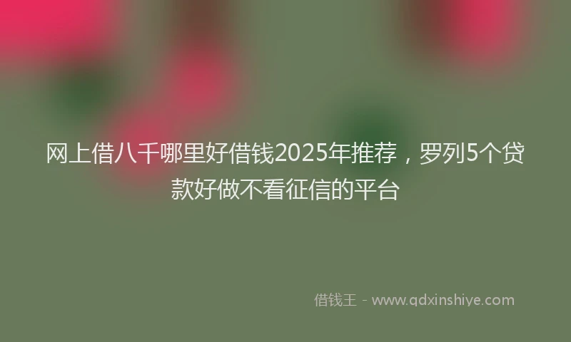 网上借八千哪里好借钱2025年推荐，罗列5个贷款好做不看征信的平台