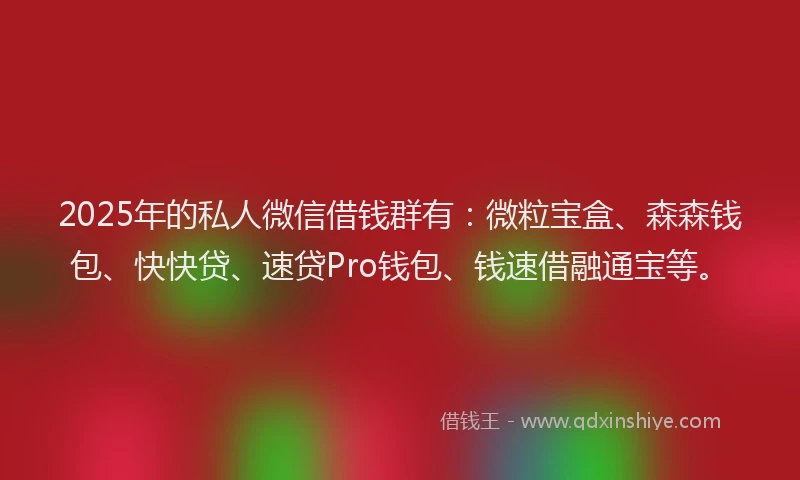 2025年的私人微信借钱群有：微粒宝盒、森森钱包、快快贷、速贷Pro钱包、钱速借融通宝等。