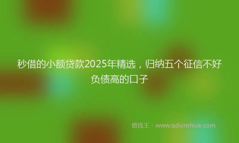 秒借的小额贷款2025年精选，归纳五个征信不好负债高的口子