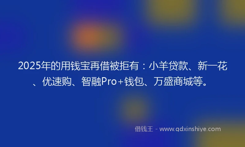 2025年的用钱宝再借被拒有：小羊贷款、新一花、优速购、智融Pro+钱包、万盛商城等。