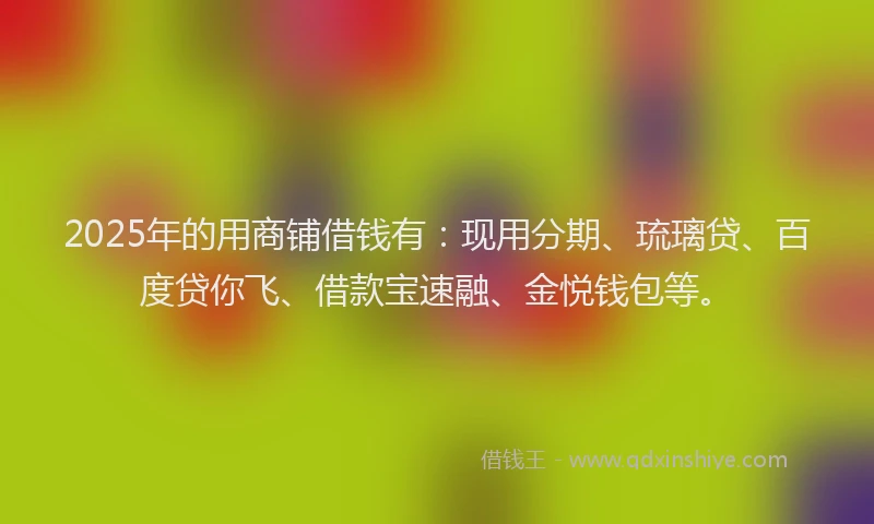 2025年的用商铺借钱有：现用分期、琉璃贷、百度贷你飞、借款宝速融、金悦钱包等。