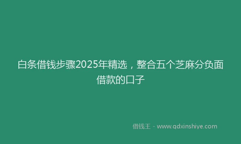 白条借钱步骤2025年精选，整合五个芝麻分负面借款的口子