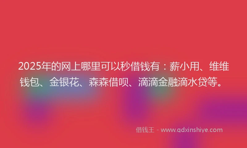 2025年的网上哪里可以秒借钱有：薪小用、维维钱包、金银花、森森借呗、滴滴金融滴水贷等。
