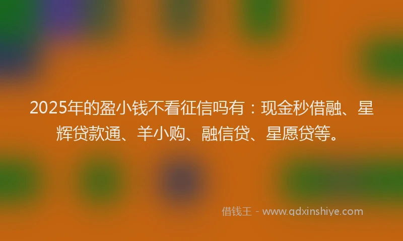 2025年的盈小钱不看征信吗有：现金秒借融、星辉贷款通、羊小购、融信贷、星愿贷等。