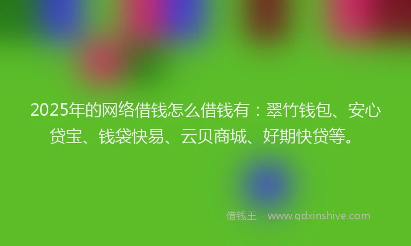 2025年的网络借钱怎么借钱有：翠竹钱包、安心贷宝、钱袋快易、云贝商城、好期快贷等。