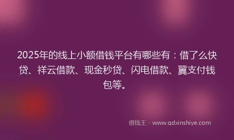2025年的线上小额借钱平台有哪些有：借了么快贷、祥云借款、现金秒贷、闪电借款、翼支付钱包等。
