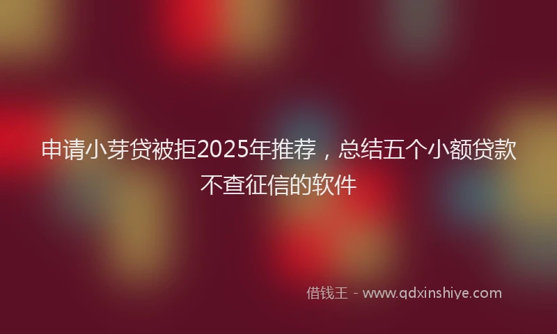申请小芽贷被拒2025年推荐，总结五个小额贷款不查征信的软件