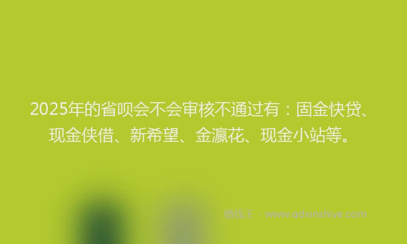 2025年的省呗会不会审核不通过有：固金快贷、现金侠借、新希望、金瀛花、现金小站等。