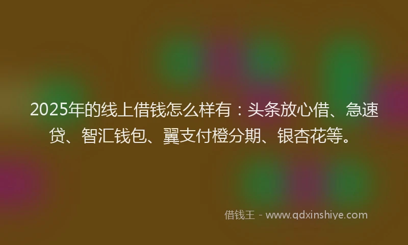 2025年的线上借钱怎么样有：头条放心借、急速贷、智汇钱包、翼支付橙分期、银杏花等。